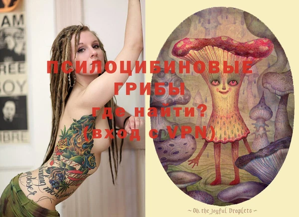 PSILOCYBIN Козловка