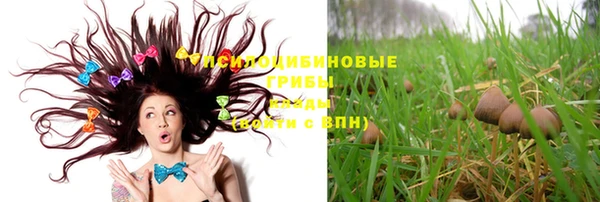 мяу мяу мука Козельск