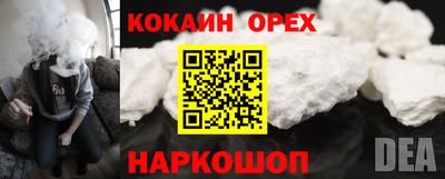 ГАЛЛЮЦИНОГЕННЫЕ ГРИБЫ Канаш