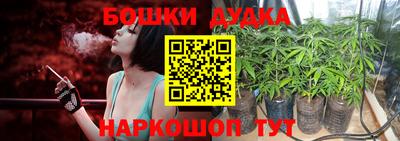 ГАЛЛЮЦИНОГЕННЫЕ ГРИБЫ Канаш