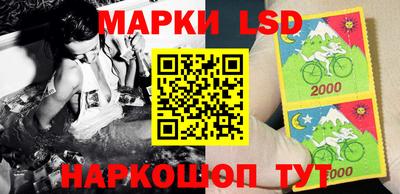 прущие крисы Кандалакша