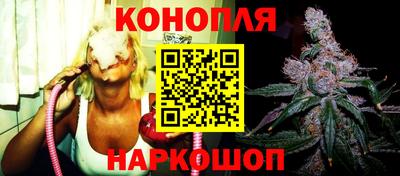 прущие крисы Кандалакша