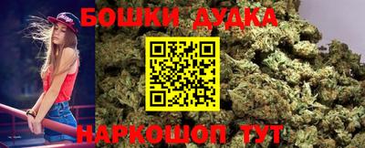 прущие крисы Кандалакша