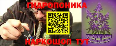 марихуана Камышлов