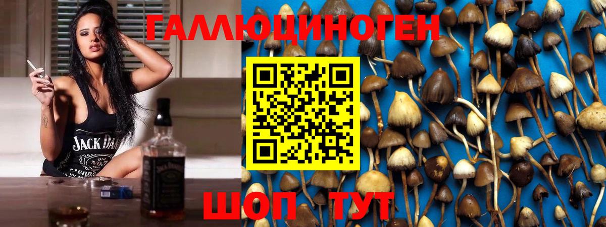 Вейп ТГК  Канабис  Конопля  Вологда  MDMA  ГАШИШ  Вход с VPN  Где купить наркотики?  ГАШИШ  Меф кристаллы 