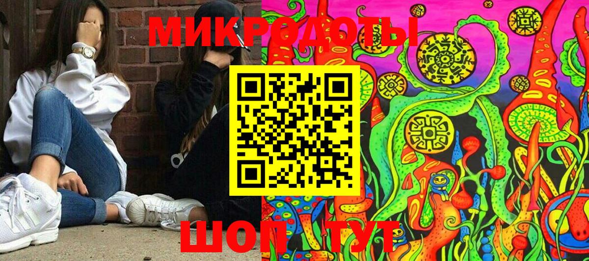 Псилоцибиновые грибы Psilocybe Вологда
