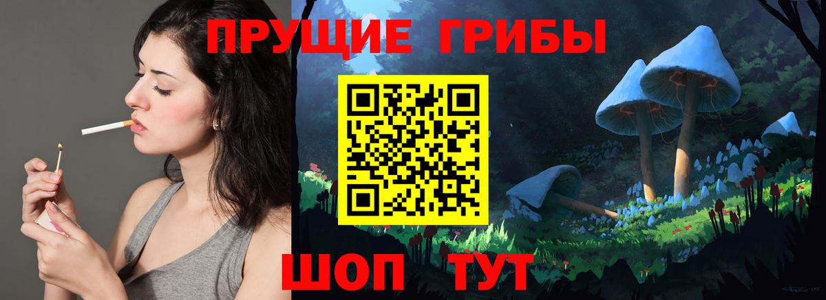Псилоцибиновые грибы Psilocybine cubensis  Вход с VPN  Галлюциногенные грибы Psilocybine cubensis  Вологда 