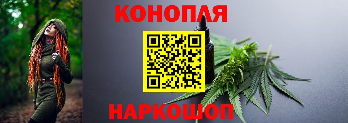 Каннабис OG Kush Вологда